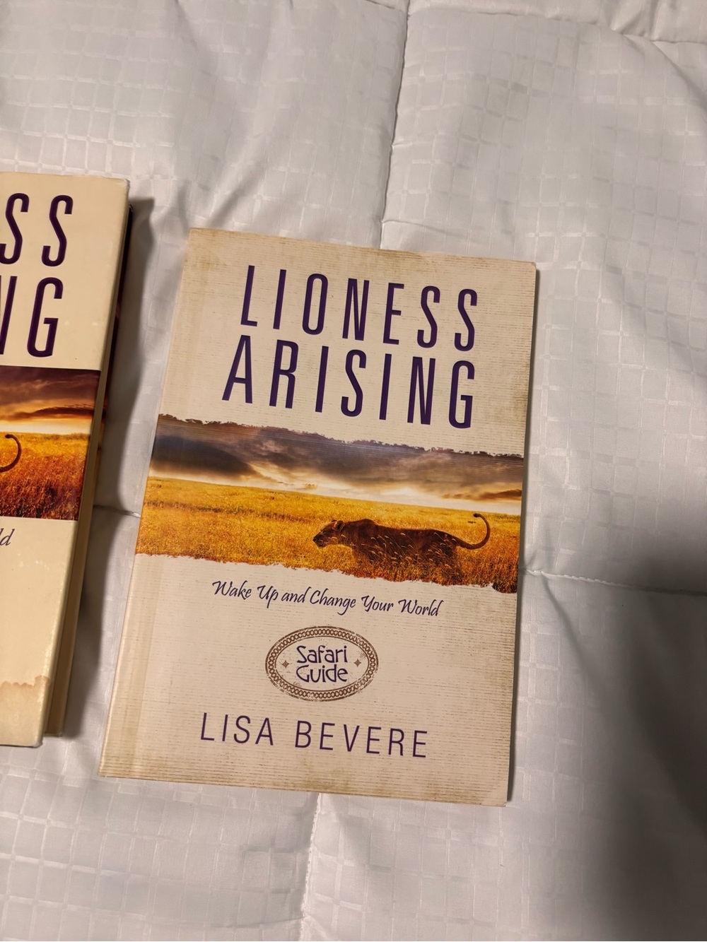 Lioness Arising by Lisa Bevere Hardback Book with Journal/Guide - Picture 2 of 6